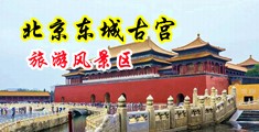 午夜两性激情剧场中国北京-东城古宫旅游风景区